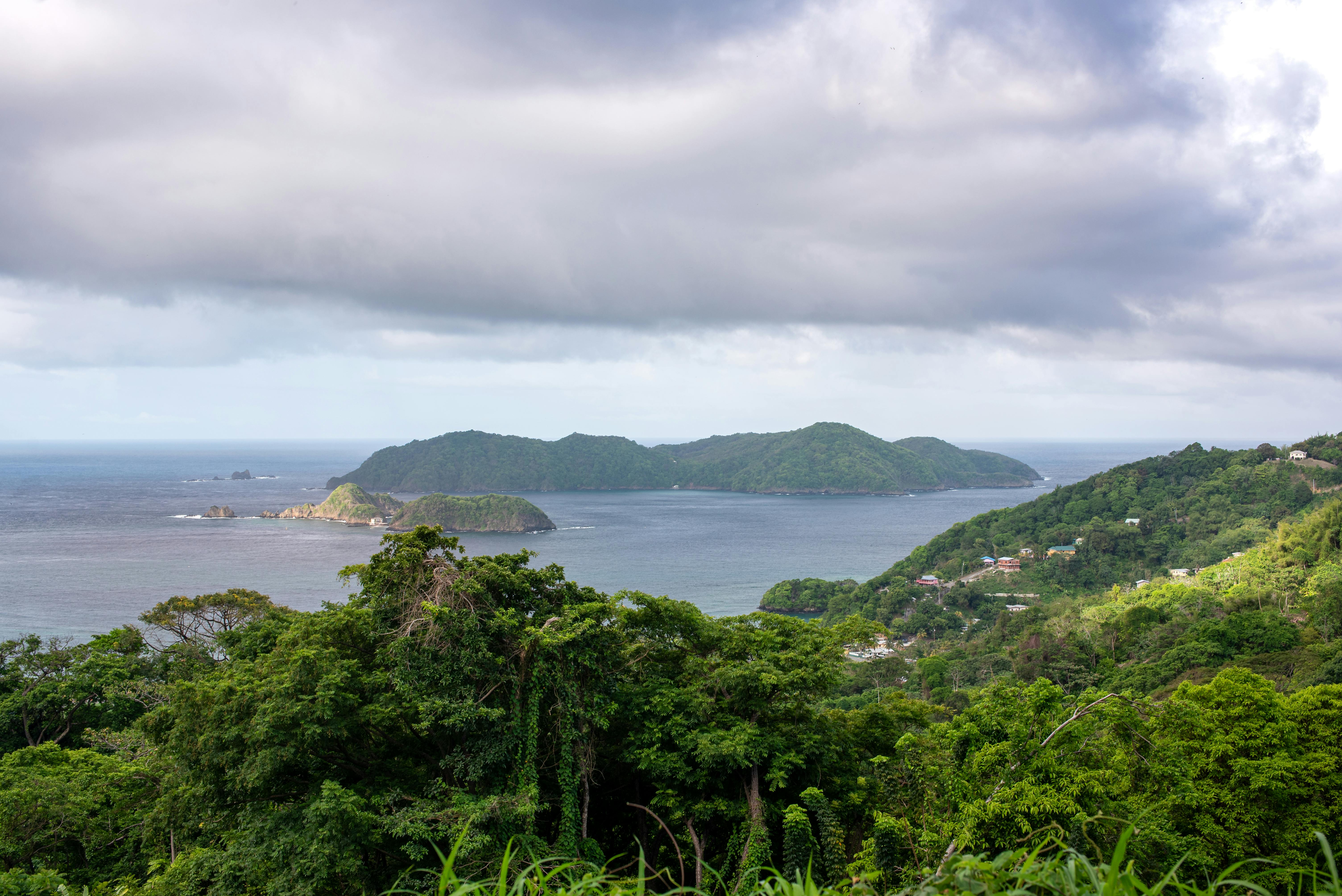 Evacuation Team Background Photo